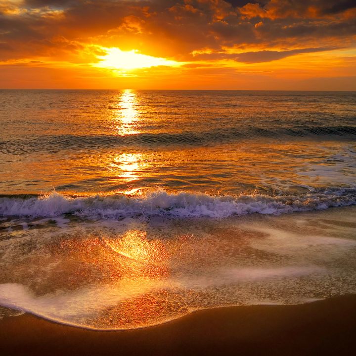 TRUST SoCal - Photo 6